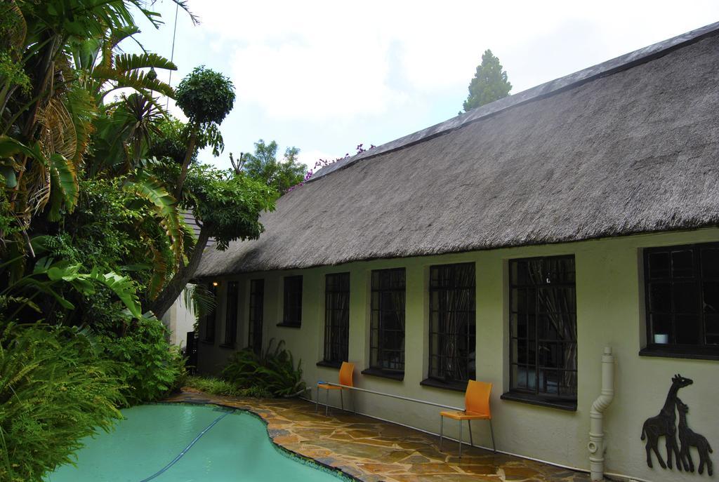 جوهانسبورغ Birch Tree Cottage المظهر الخارجي الصورة